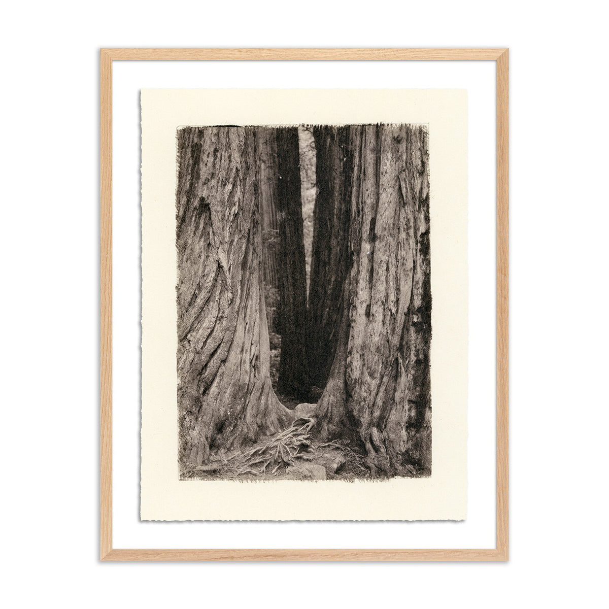 Redwoods Magical Portal By Platinum Revival - Four Hands (248090-001)