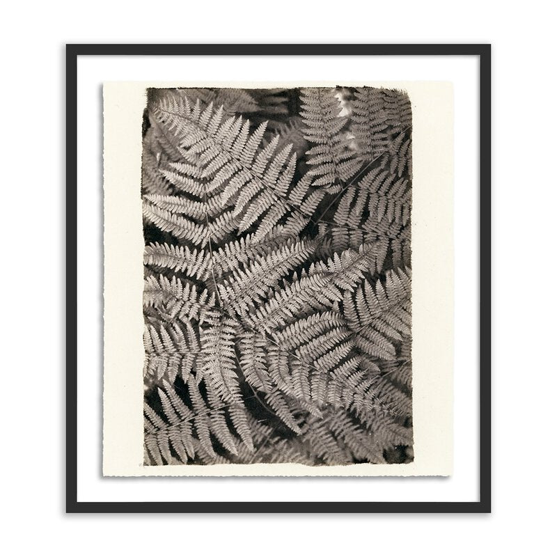 Fern By Platinum Revival