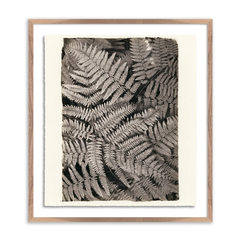 Fern By Platinum Revival