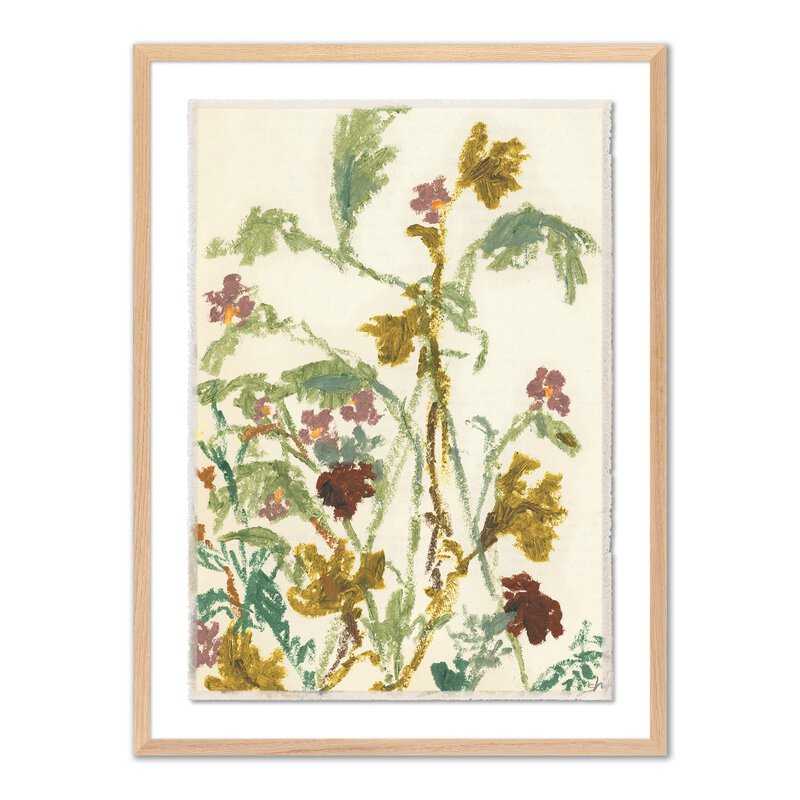 Meadow Rue 1 By Shaina Page