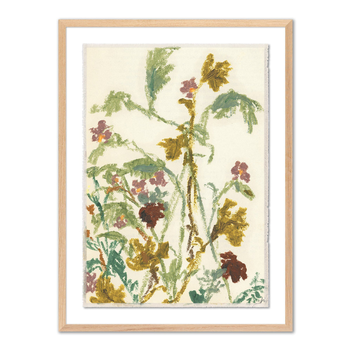 Meadow Rue 1 By Shaina Page
