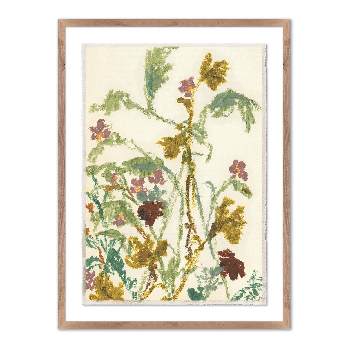 Meadow Rue 1 By Shaina Page