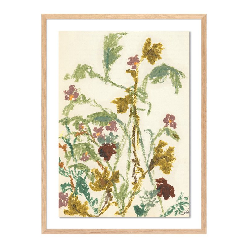 Meadow Rue 1 By Shaina Page