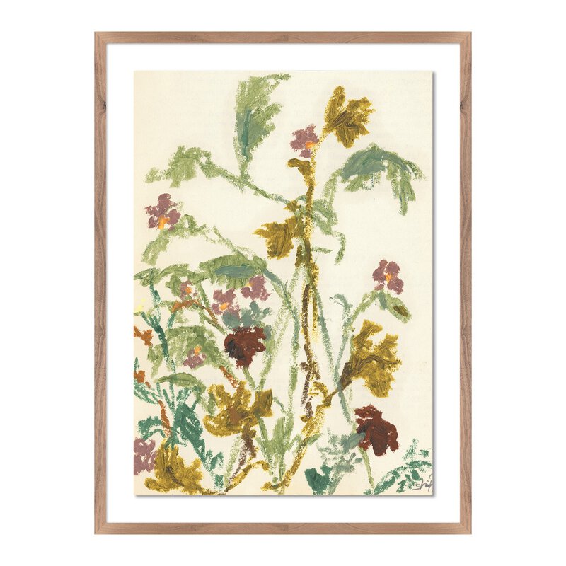 Meadow Rue 1 By Shaina Page