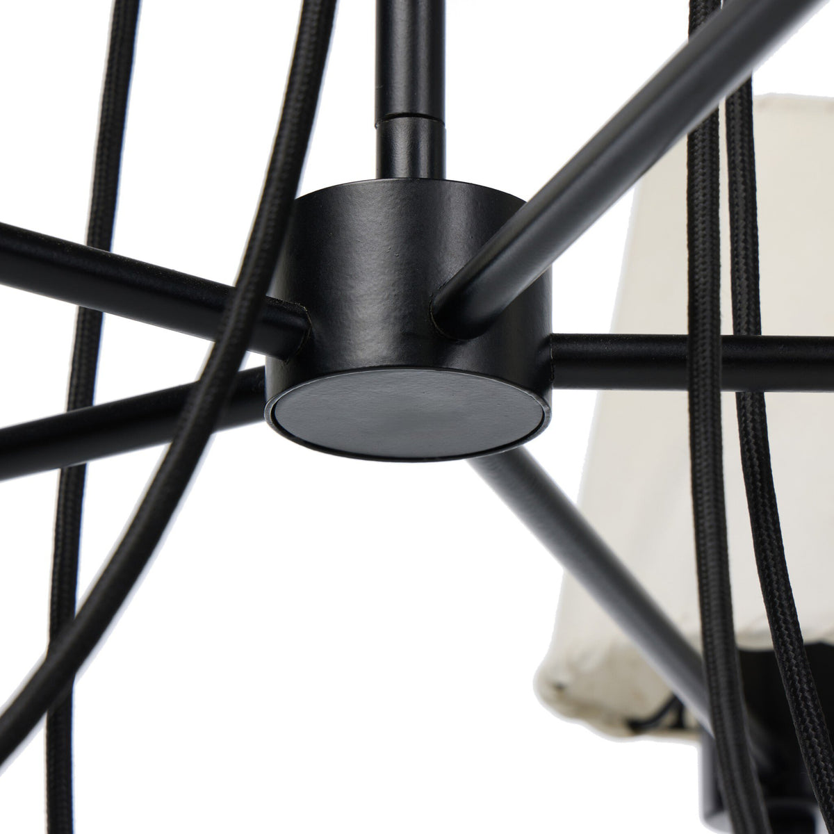 Webster Chandelier