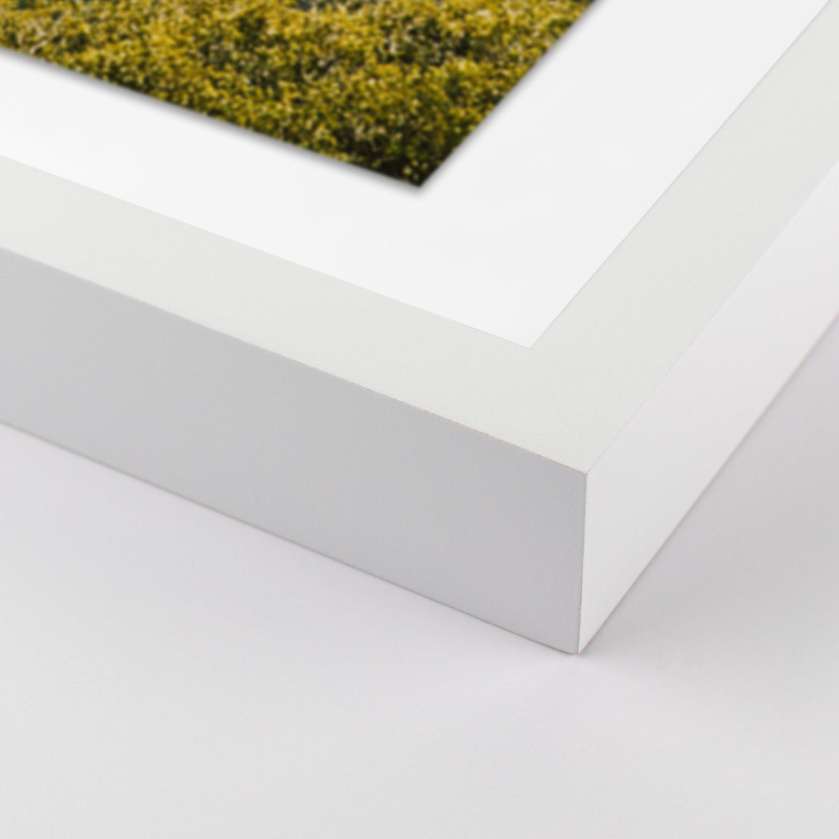 a close up of a picture frame
