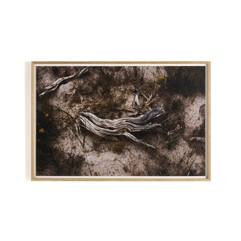 Bough By Shade Degges - Four Hands (249826-001)