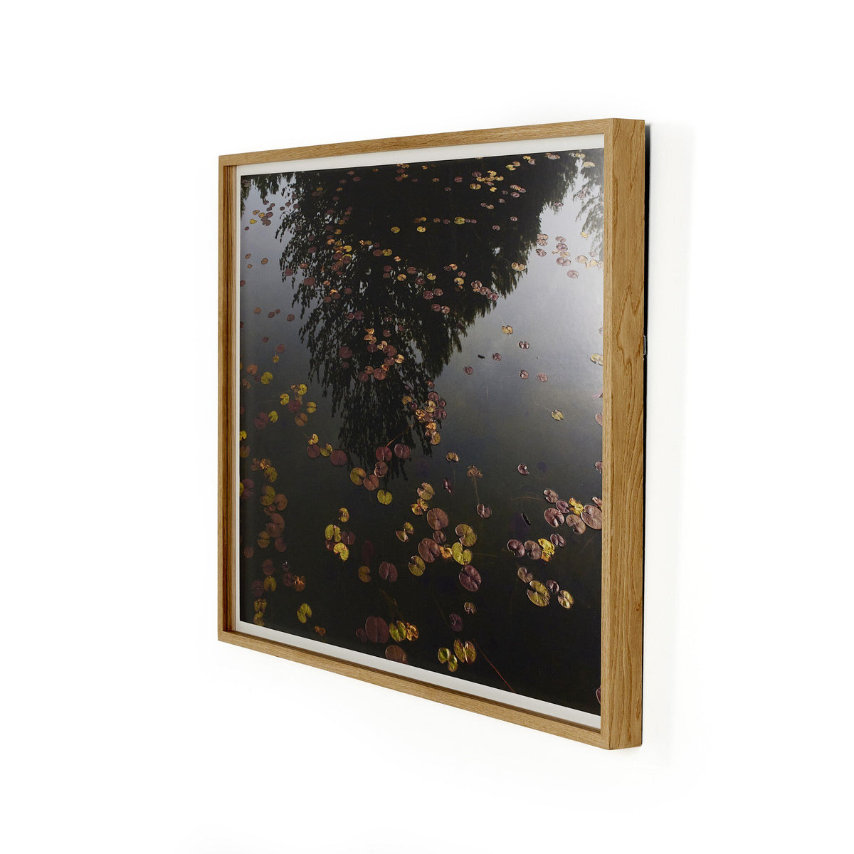 a picture frame with a reflection of trees and leaves on it