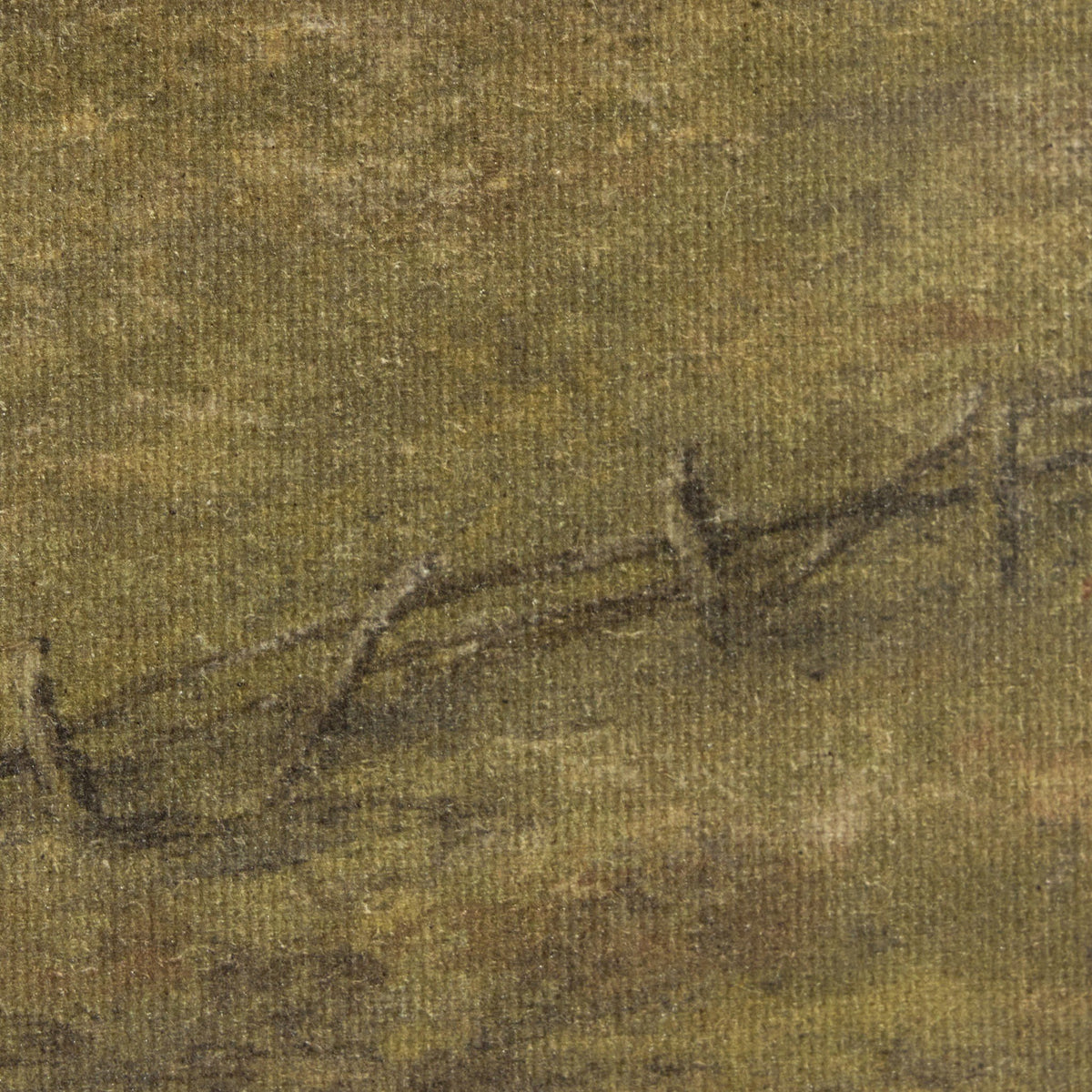 a close up of a branch