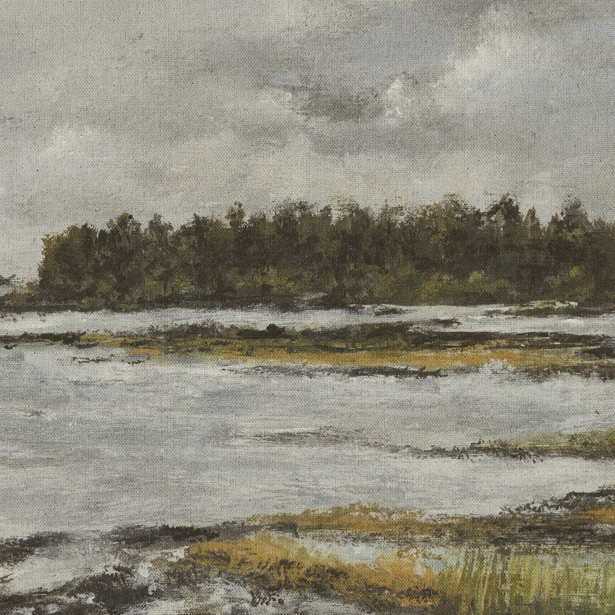 a water with trees in the background