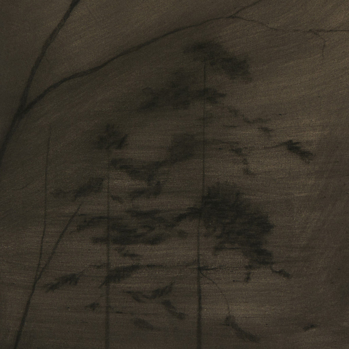 a tree on a wall