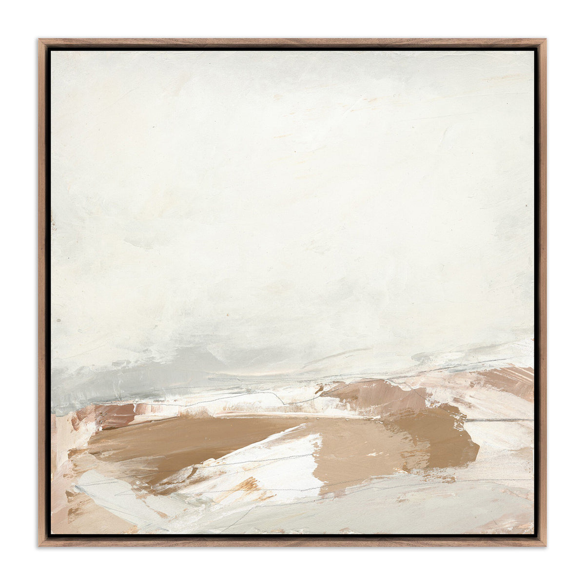 Desert No. 1 By Melanie Biehle