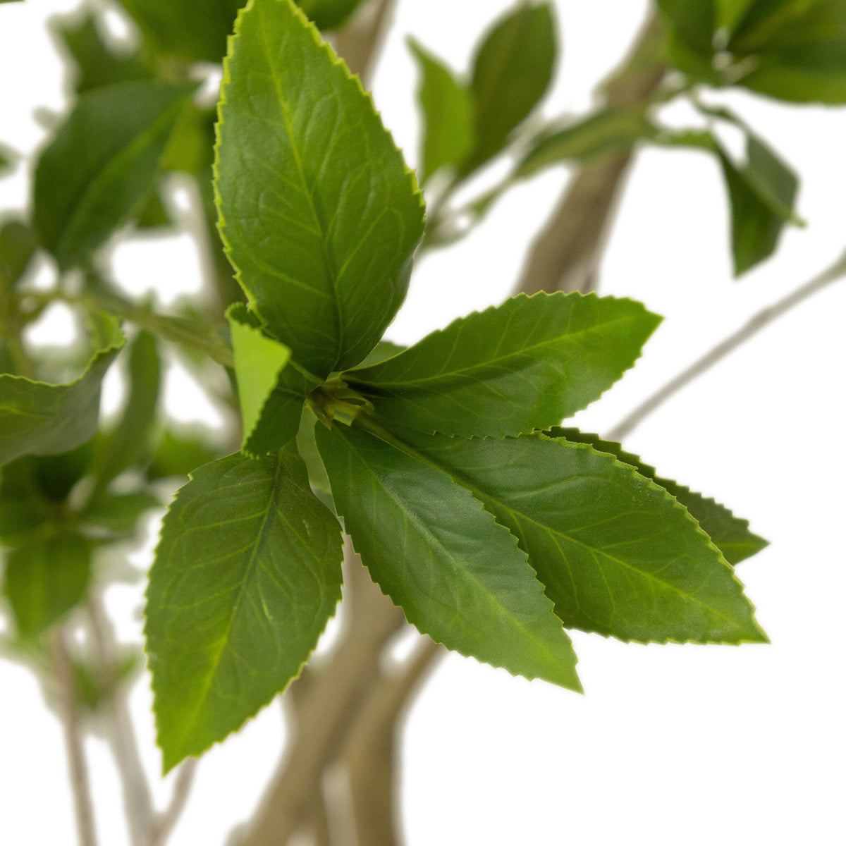 Faux Pieris Tree