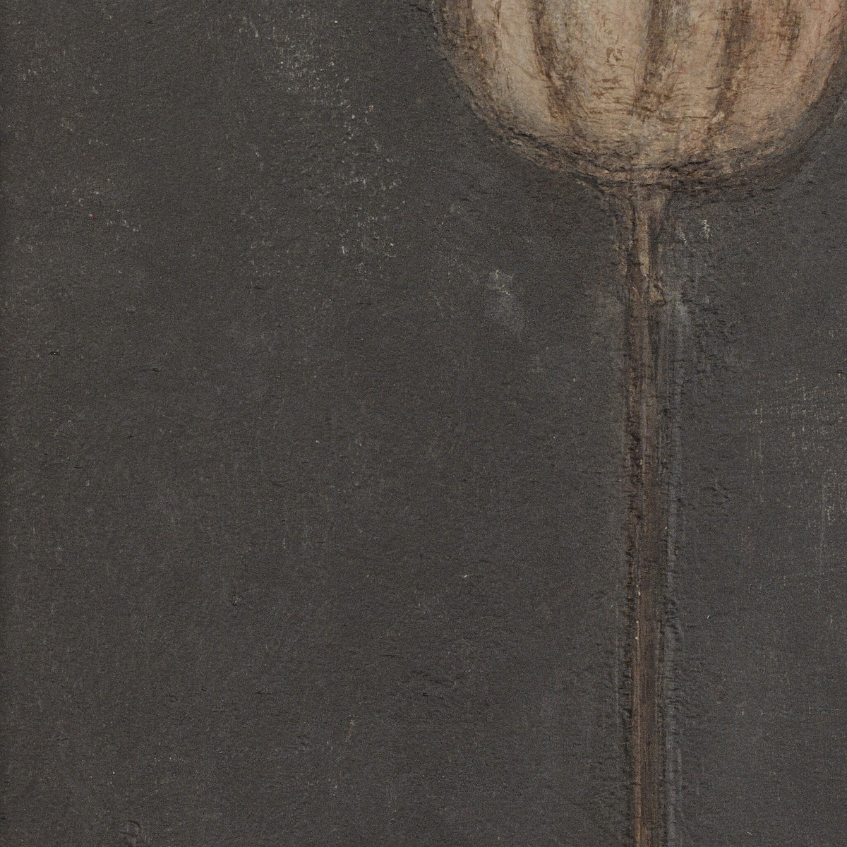 Poppy Noche By Paul Meyer