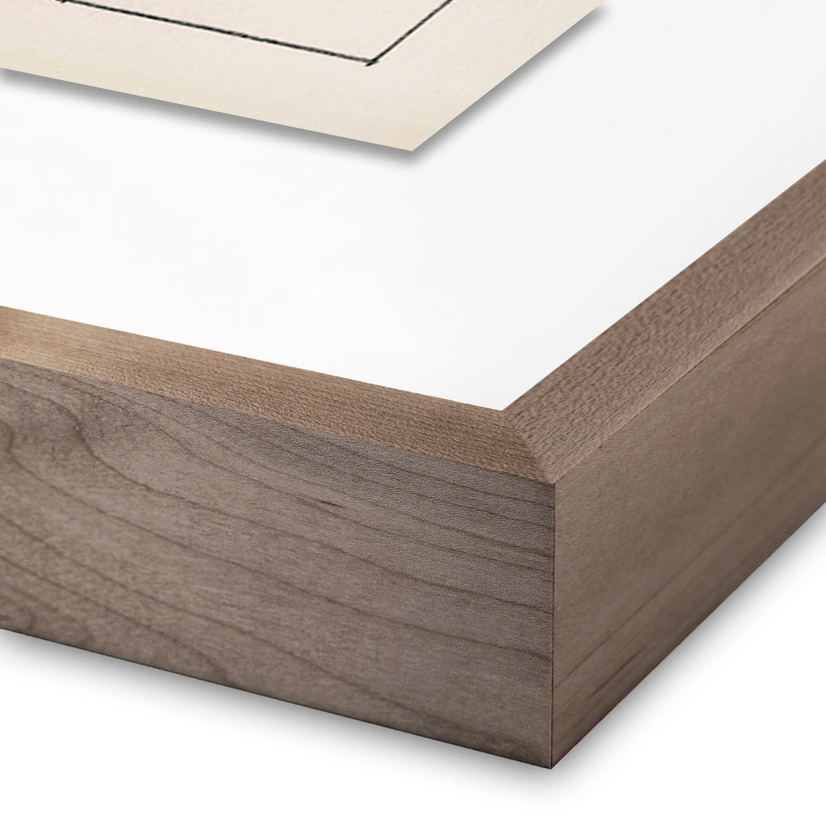 a close up of a piece of wood