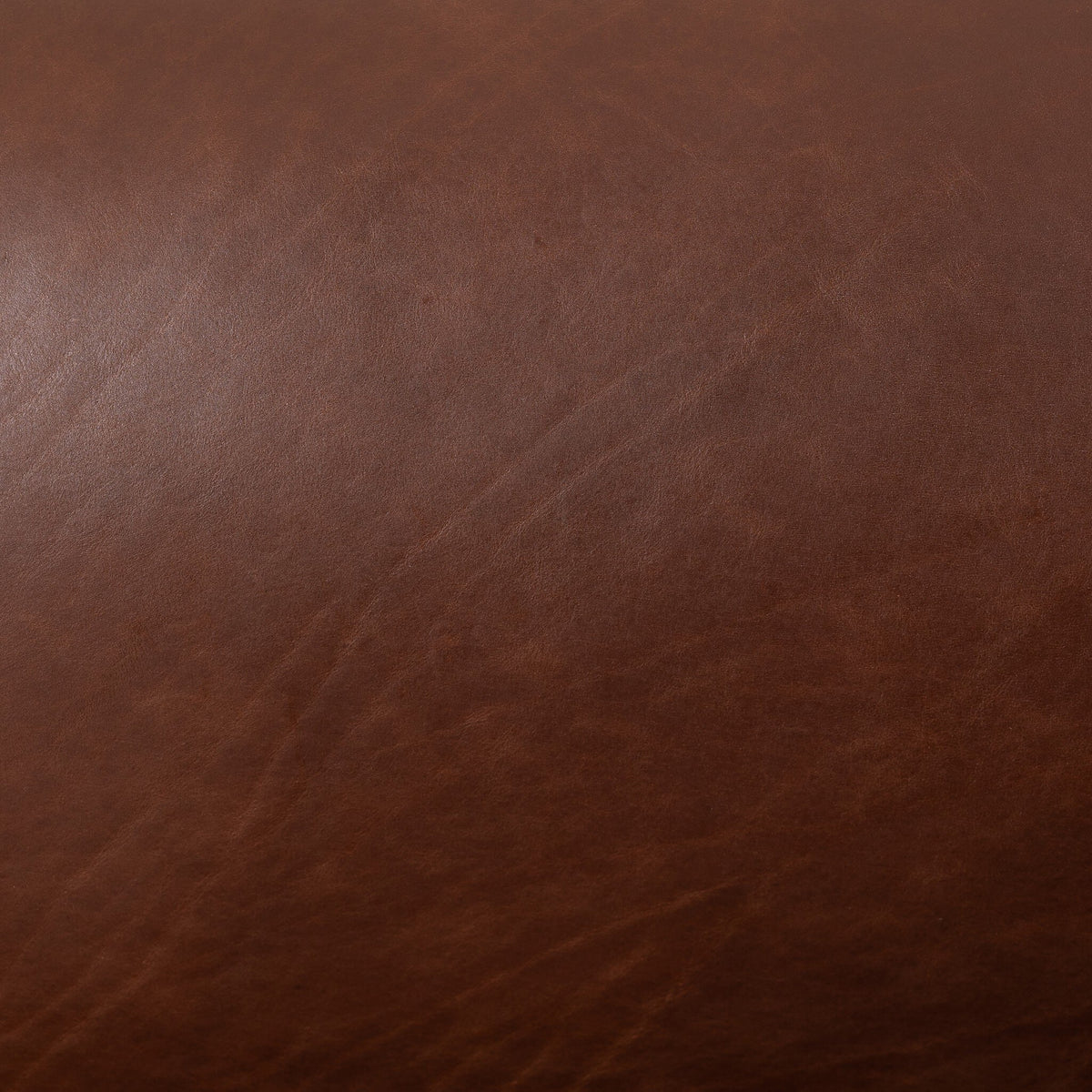 Pacey Swivel Chair