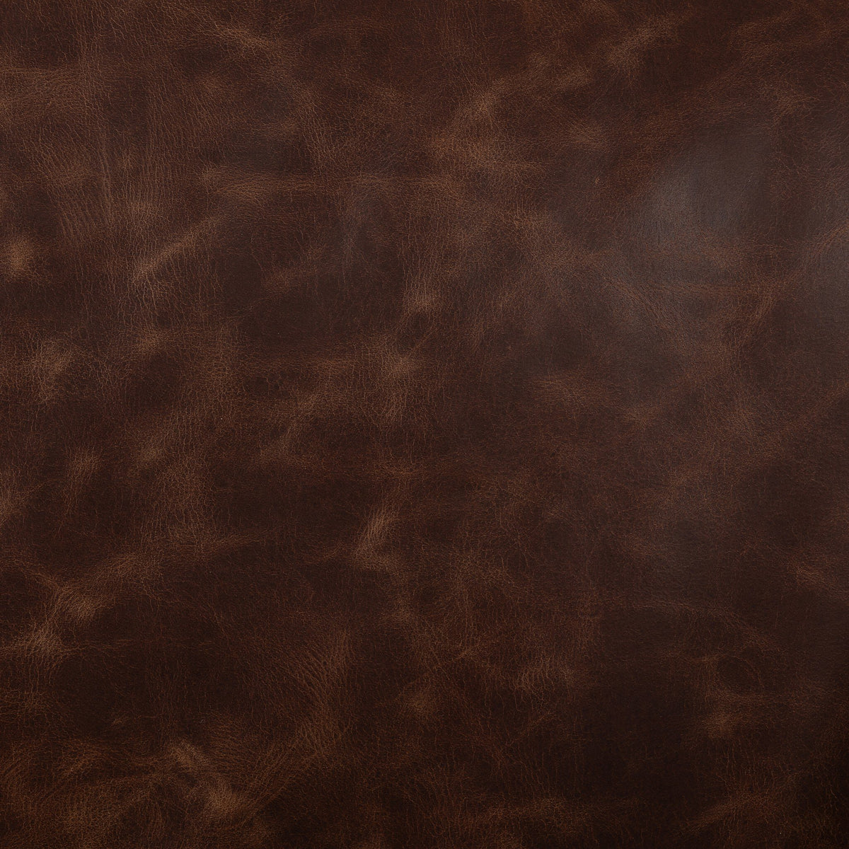 Lynne Sofa