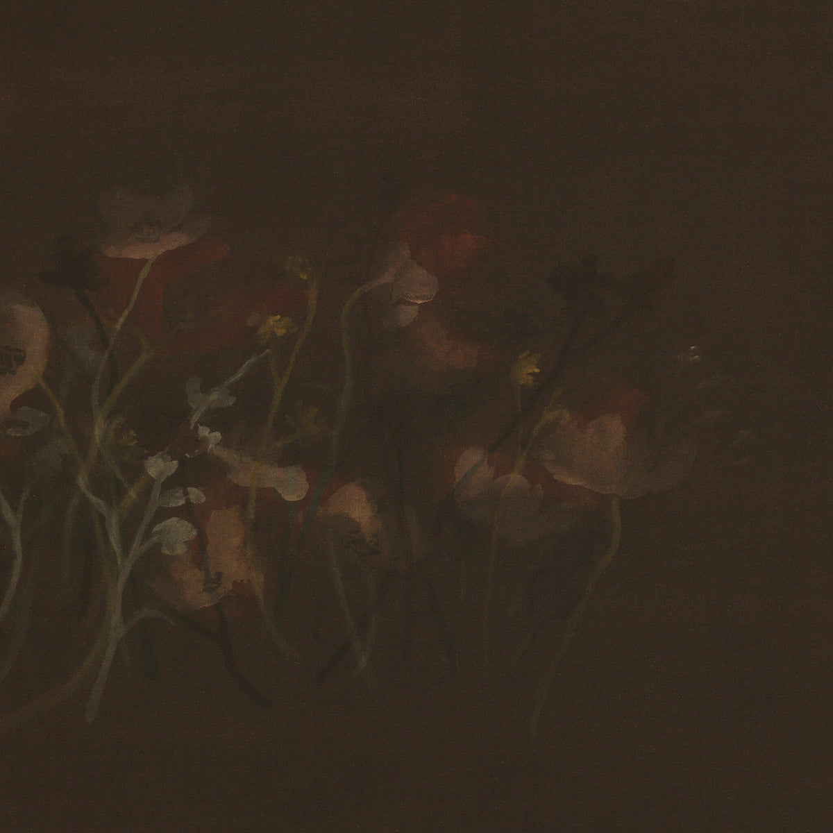 a close up of flowers