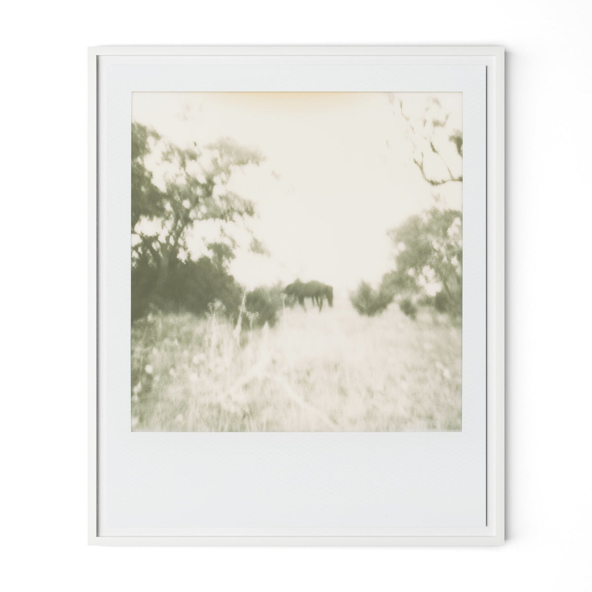 Horses By Darden Smith