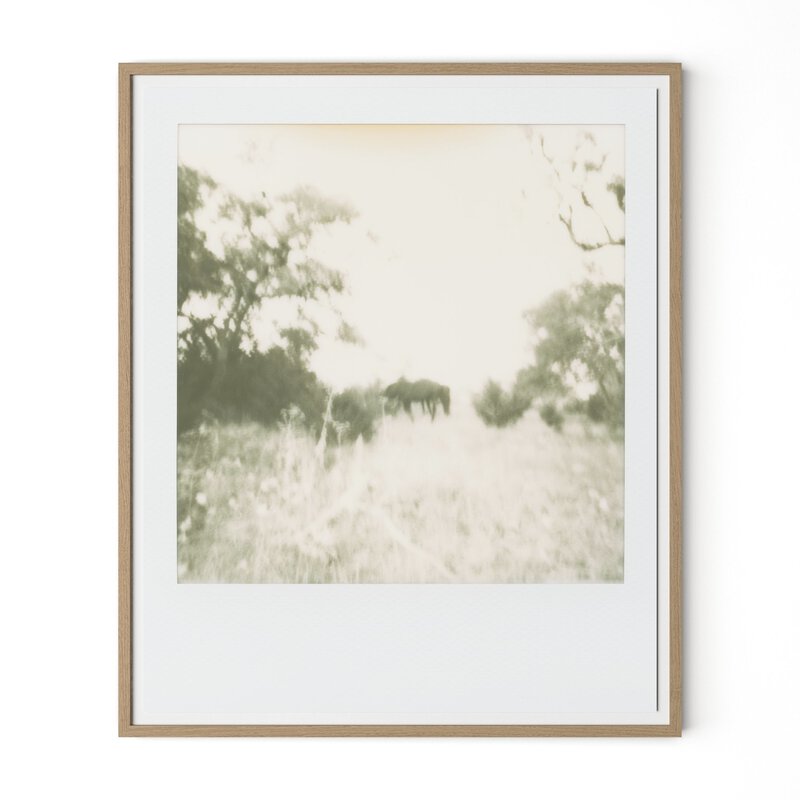 Horses By Darden Smith - Four Hands (252745-004)