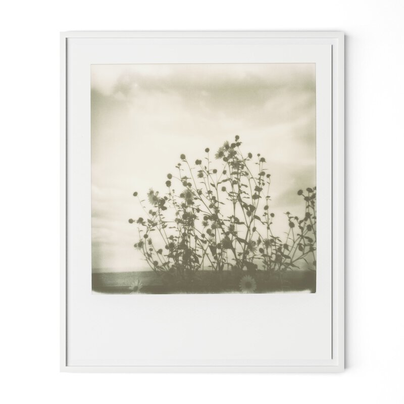 Sunflowers By Darden Smith