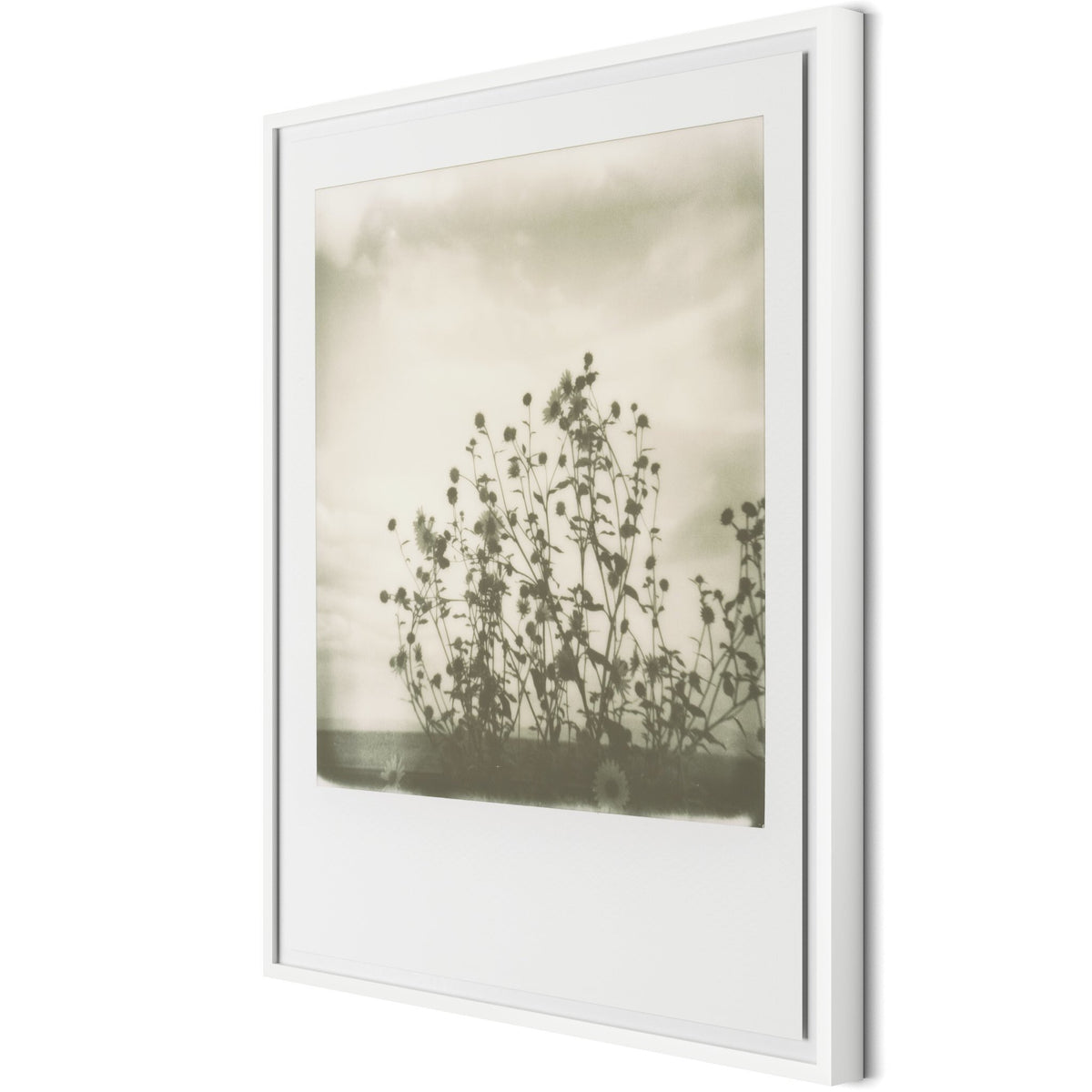 Sunflowers By Darden Smith - Four Hands (252749-006)