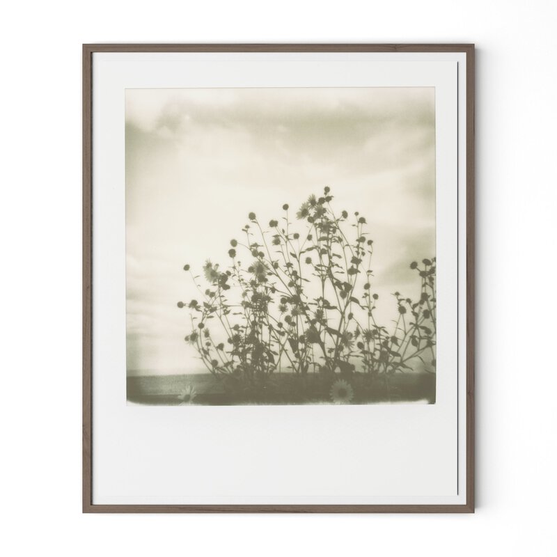 Sunflowers By Darden Smith