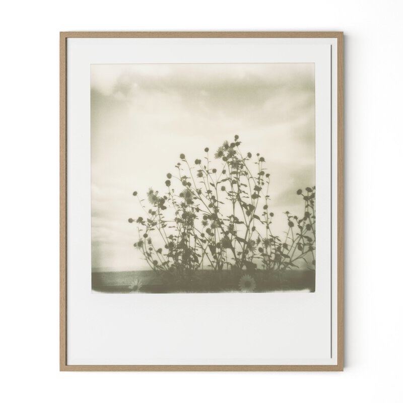Sunflowers By Darden Smith - Four Hands (252749-007)