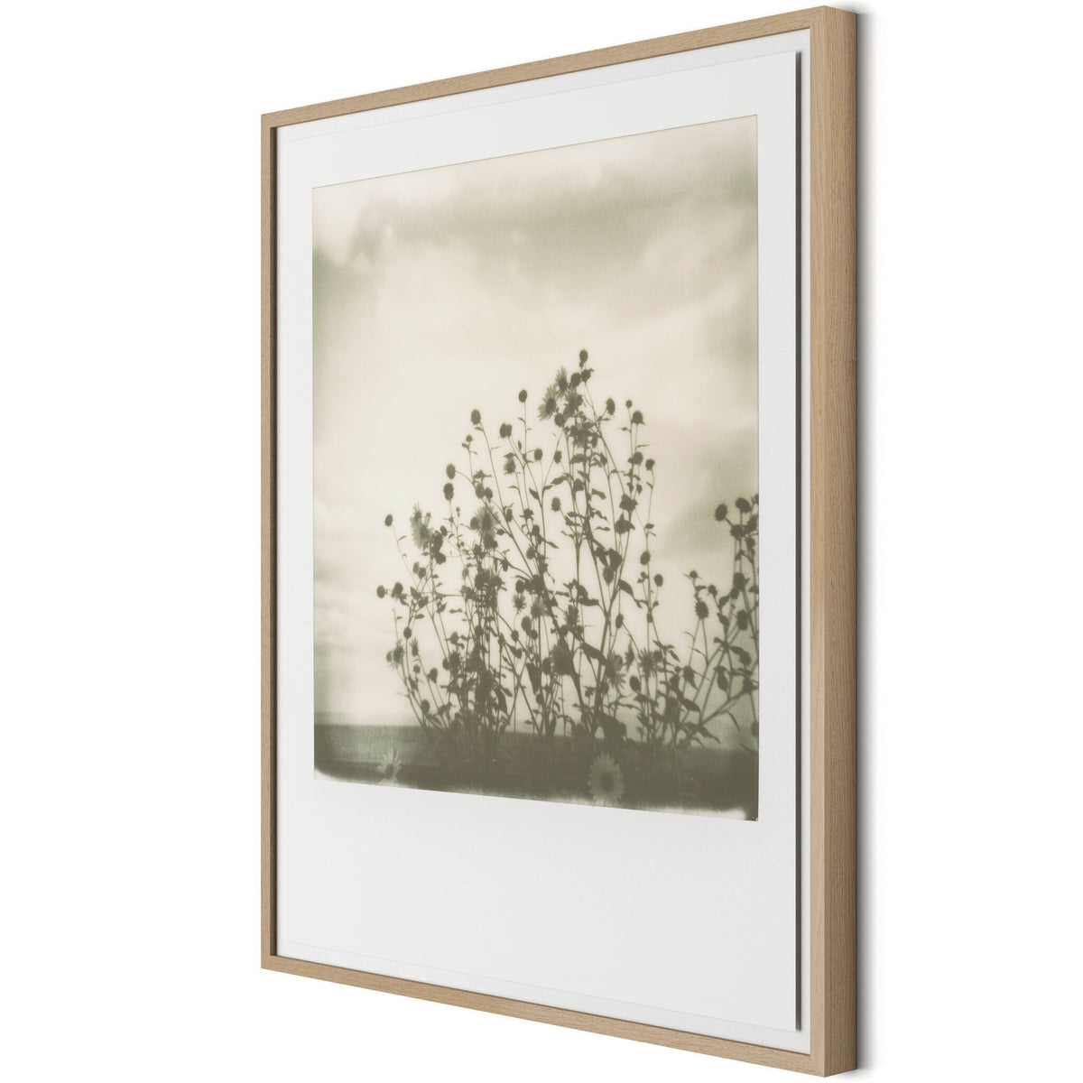Sunflowers By Darden Smith - Four Hands (252749-007)