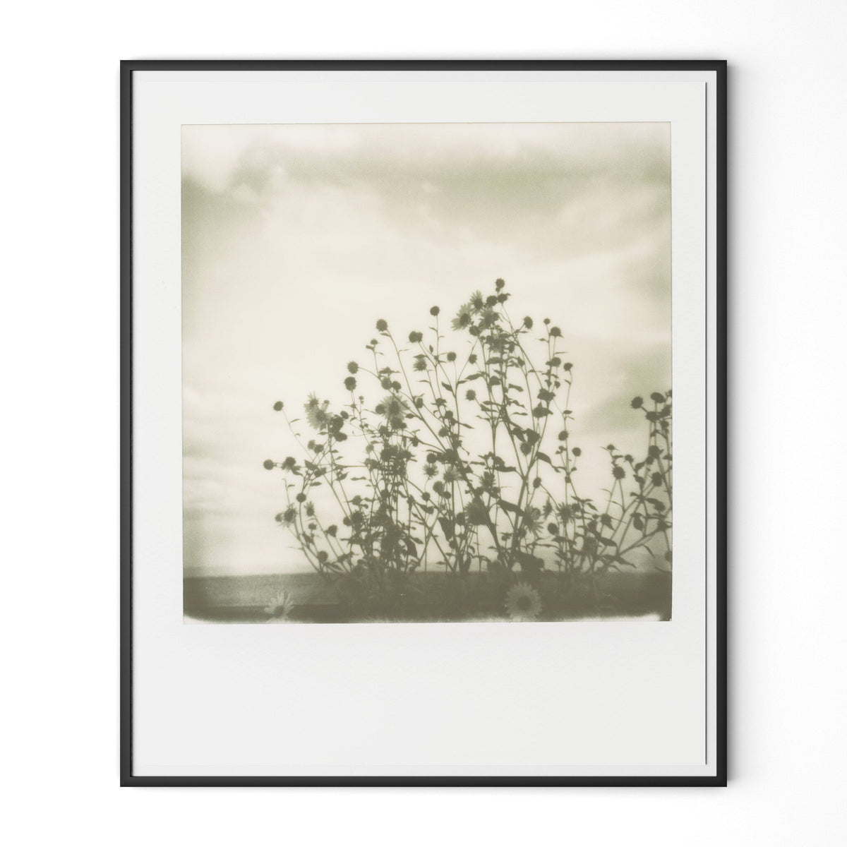 Sunflowers By Darden Smith
