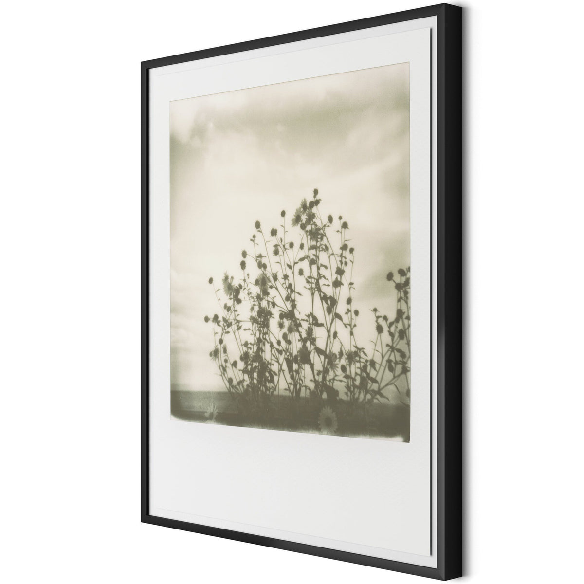 Sunflowers By Darden Smith - Four Hands (252749-006)