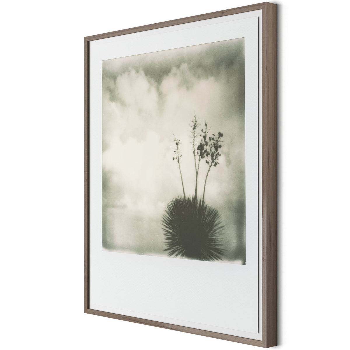 Yucca By Darden Smith - Four Hands (252750-001)