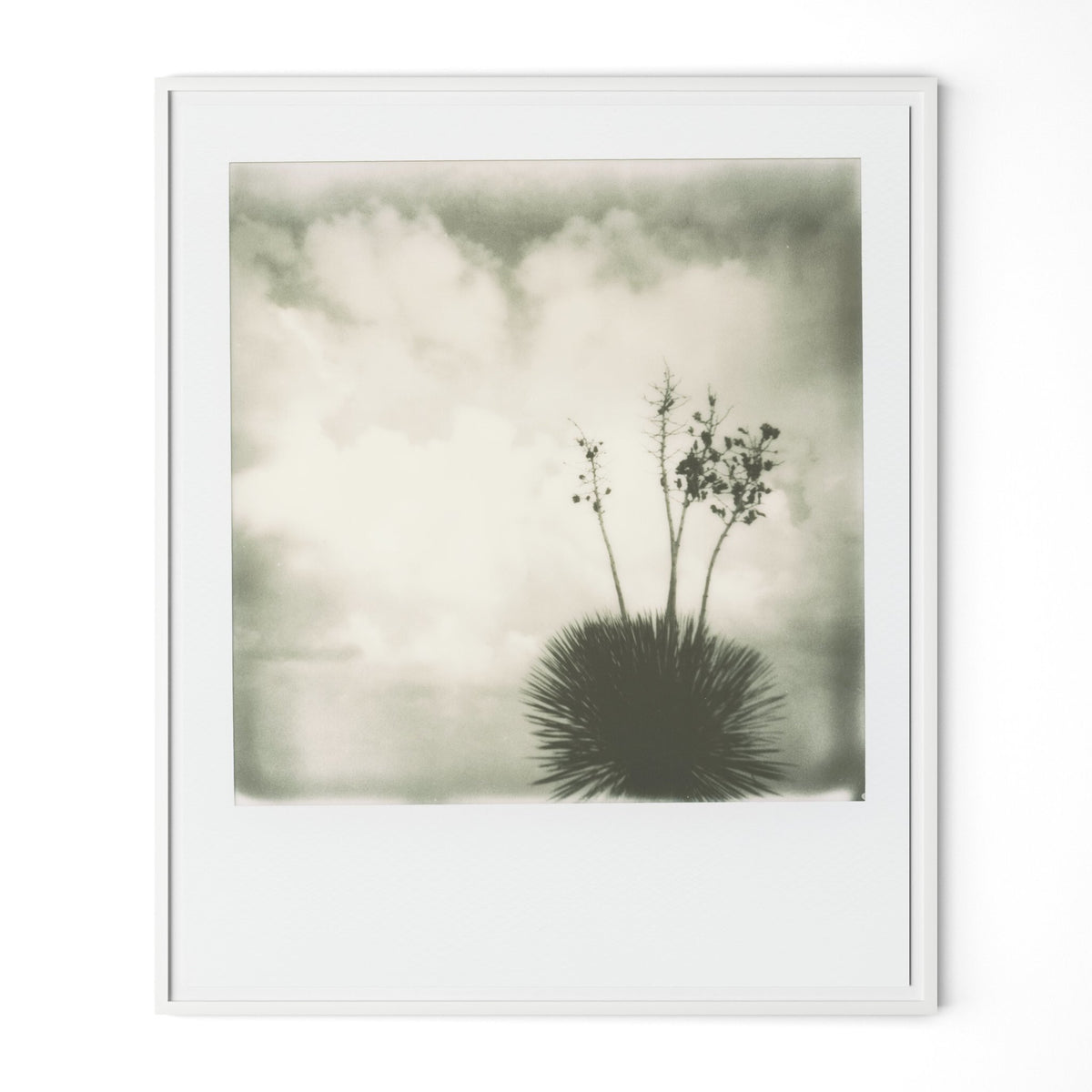 Yucca By Darden Smith - Four Hands (252750-002)