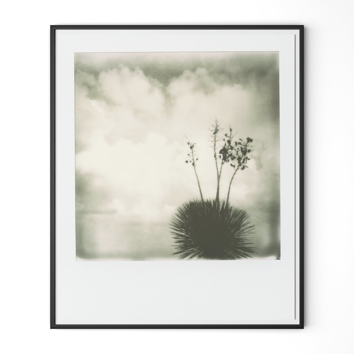 Yucca By Darden Smith - Four Hands (252750-007)