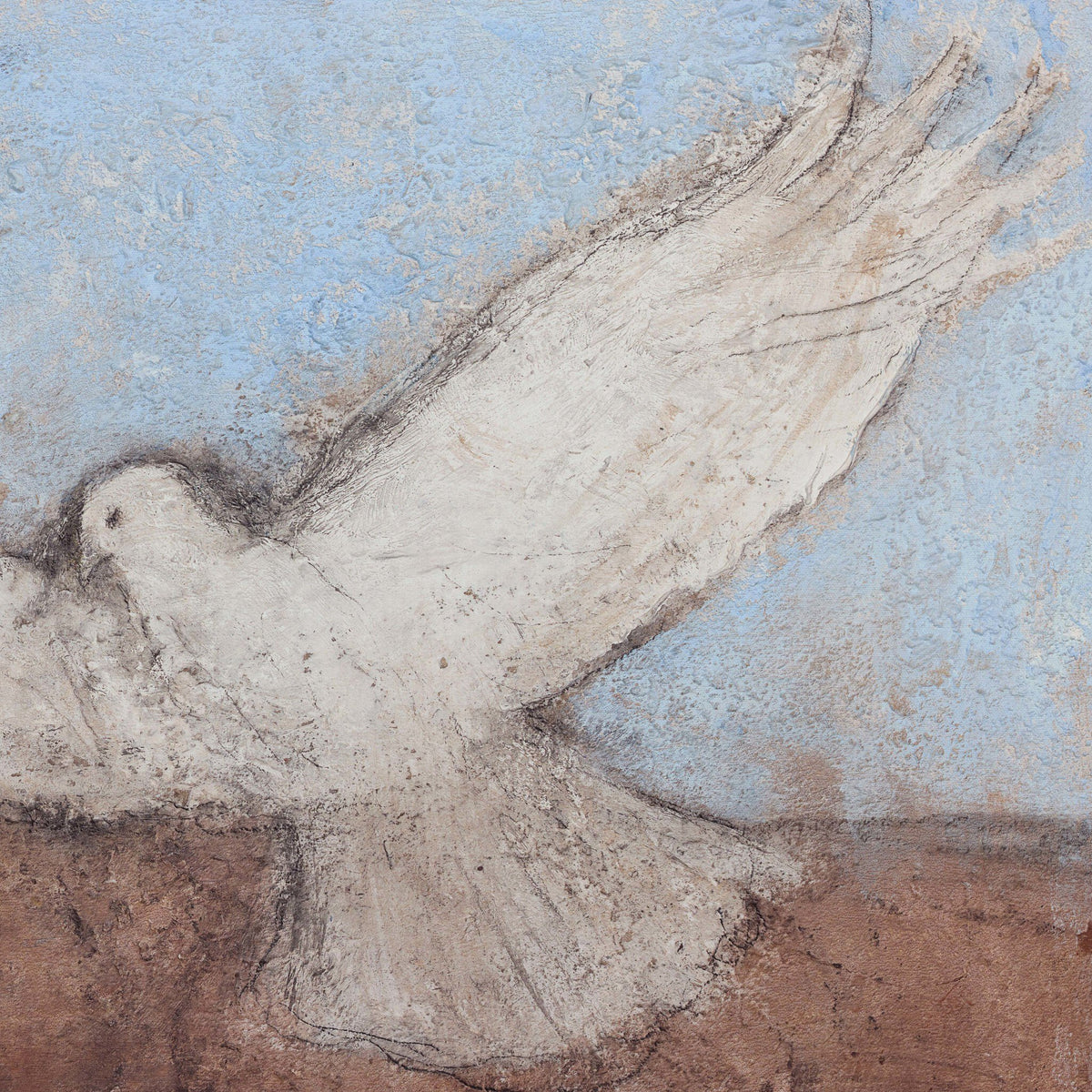 a white bird with wings spread