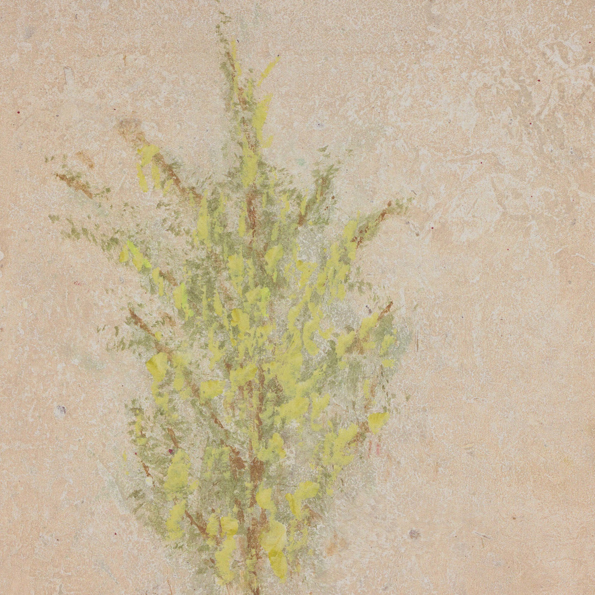 a plant on a wall