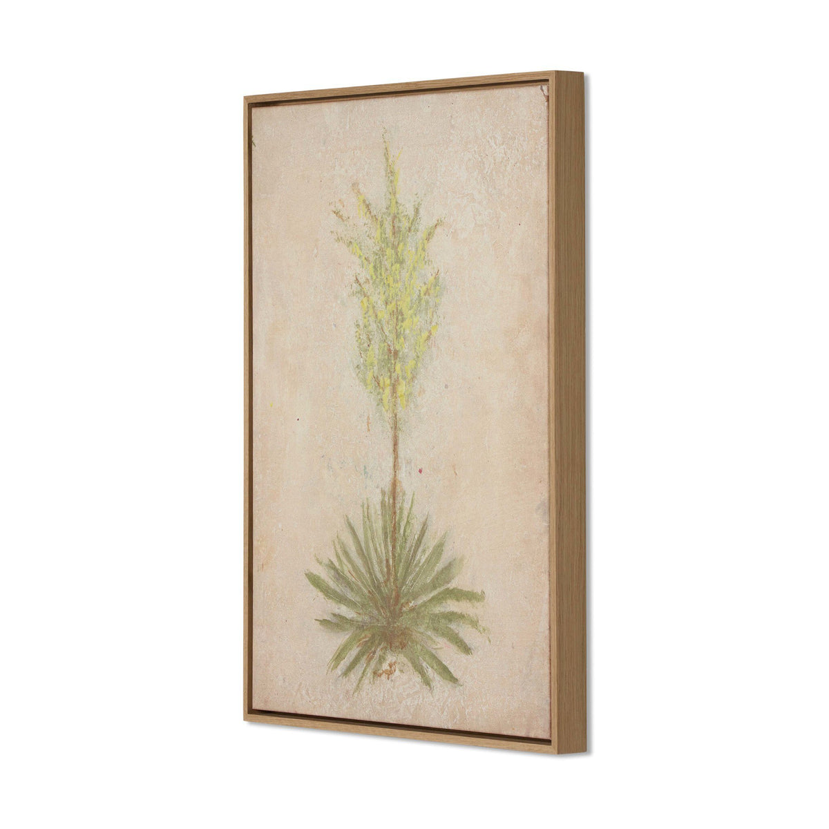 a framed picture of a plant