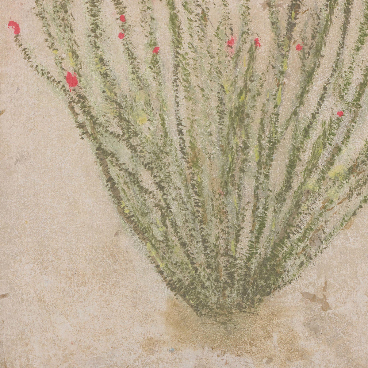 a drawing of a plant