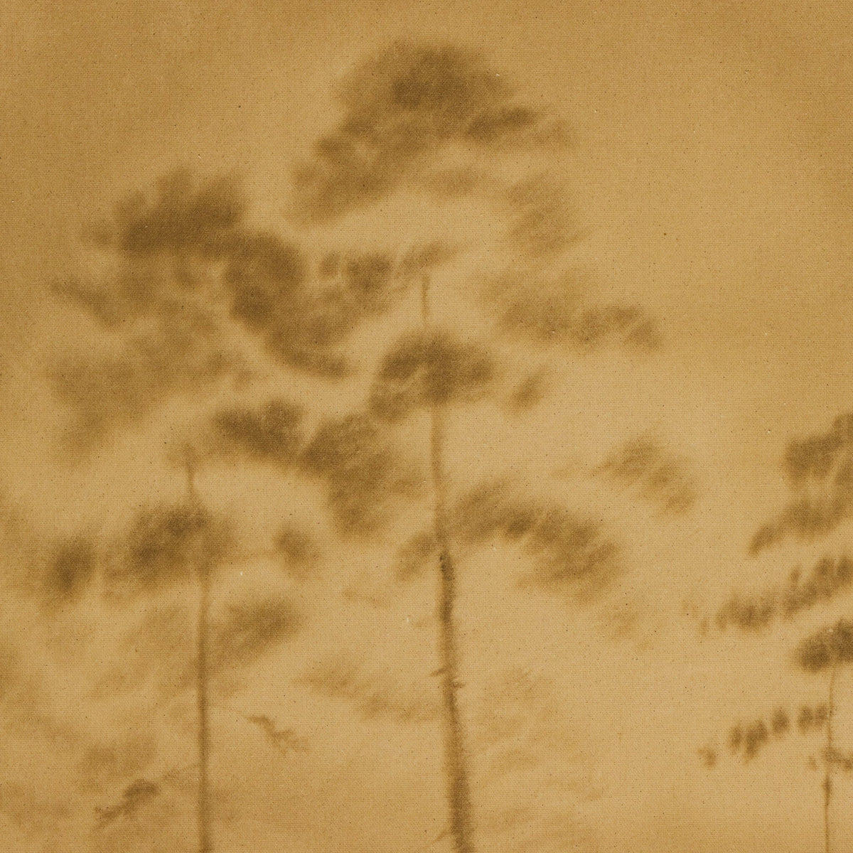 a group of trees on a tan surface