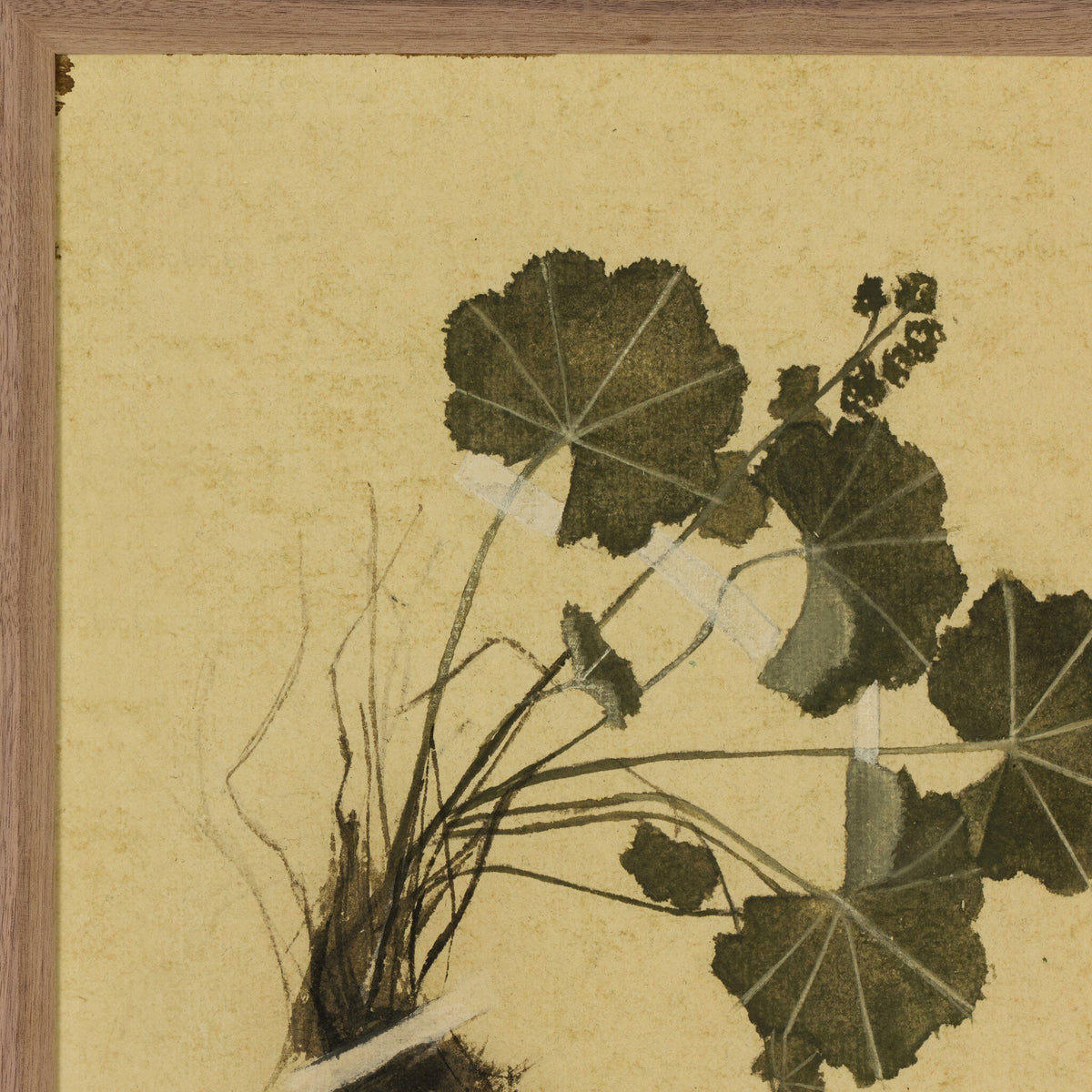 a painting of a plant