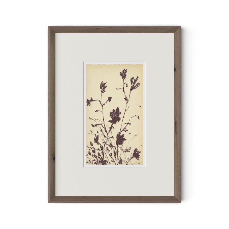Meadow Rue No.3 By Shaina Page