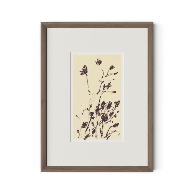 Meadow Rue No.8 By Shaina Page