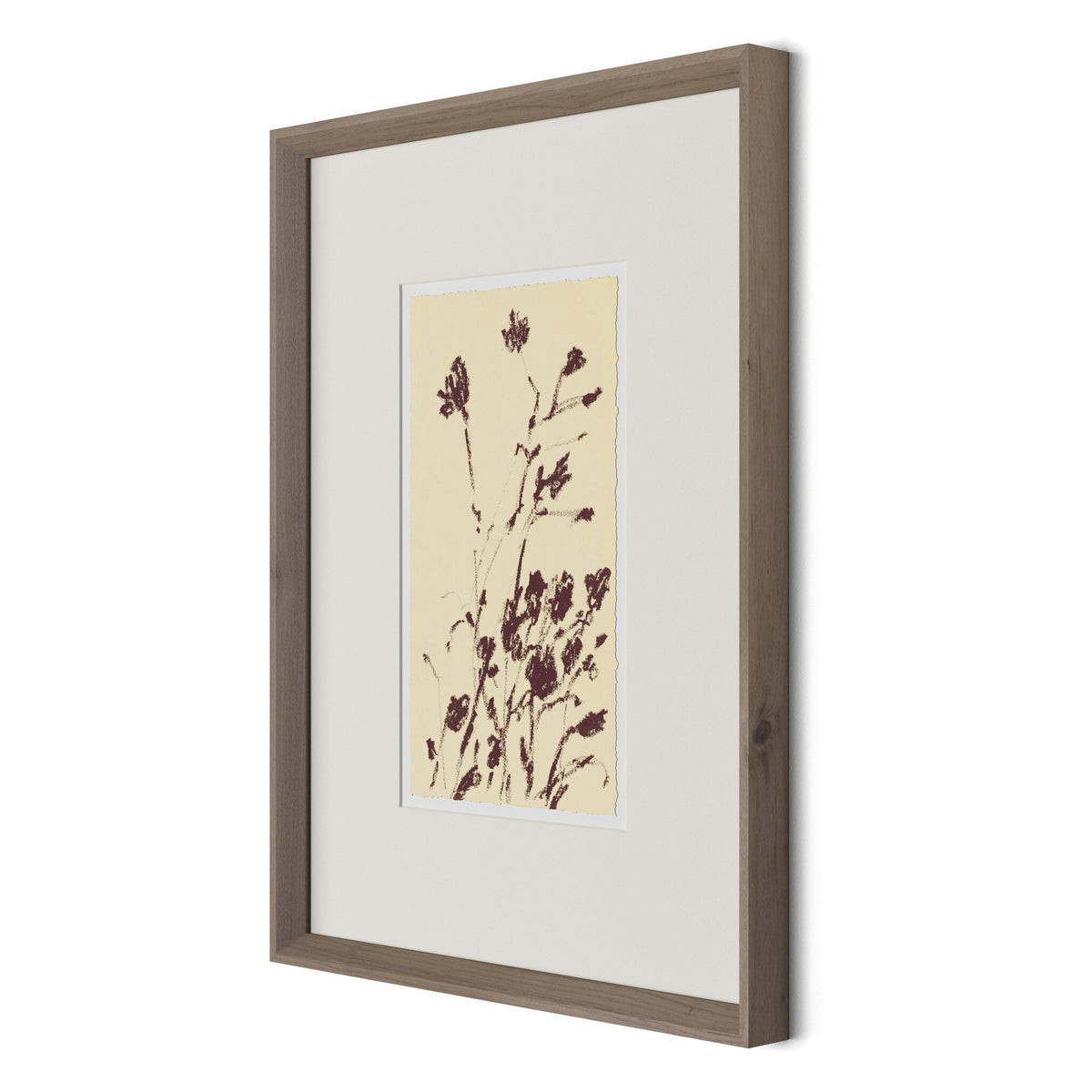 Meadow Rue No.8 By Shaina Page