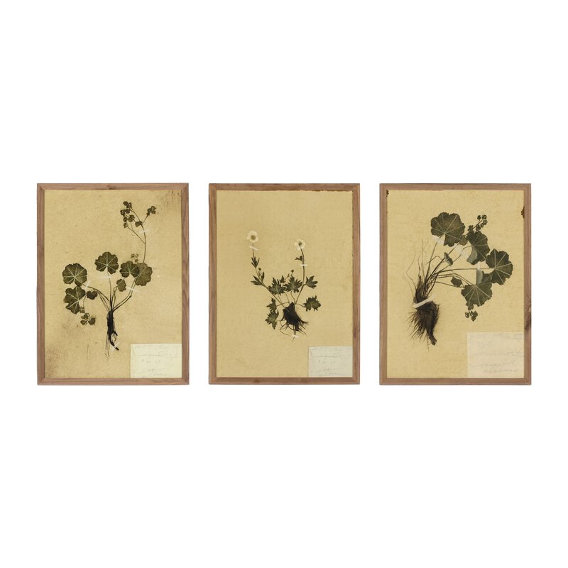 Petite Study Triptych By Hannah Winters