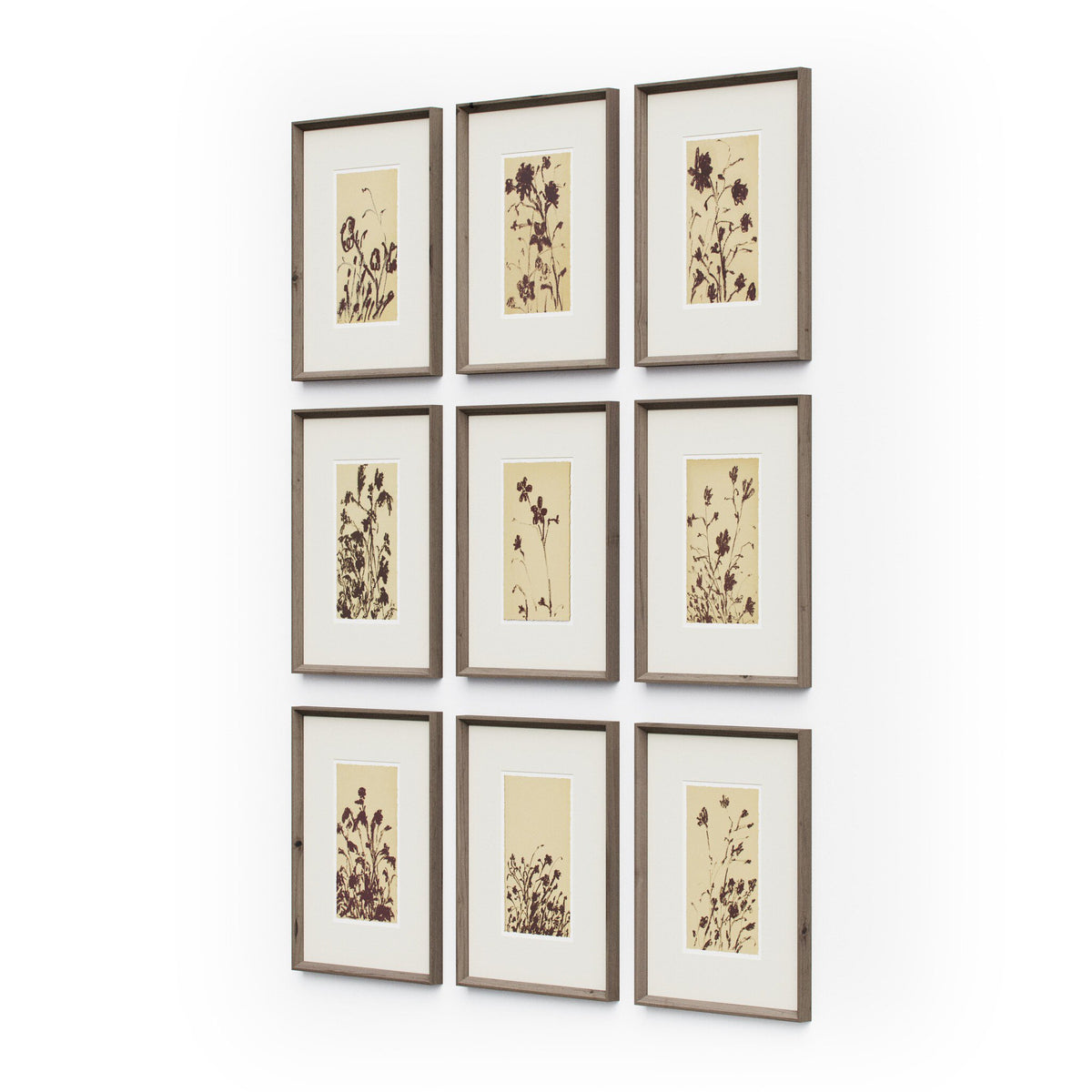 Wild Blooms Set