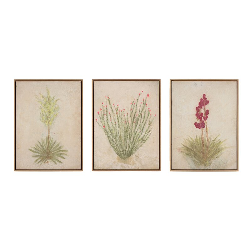 a group of framed pictures of flowers
