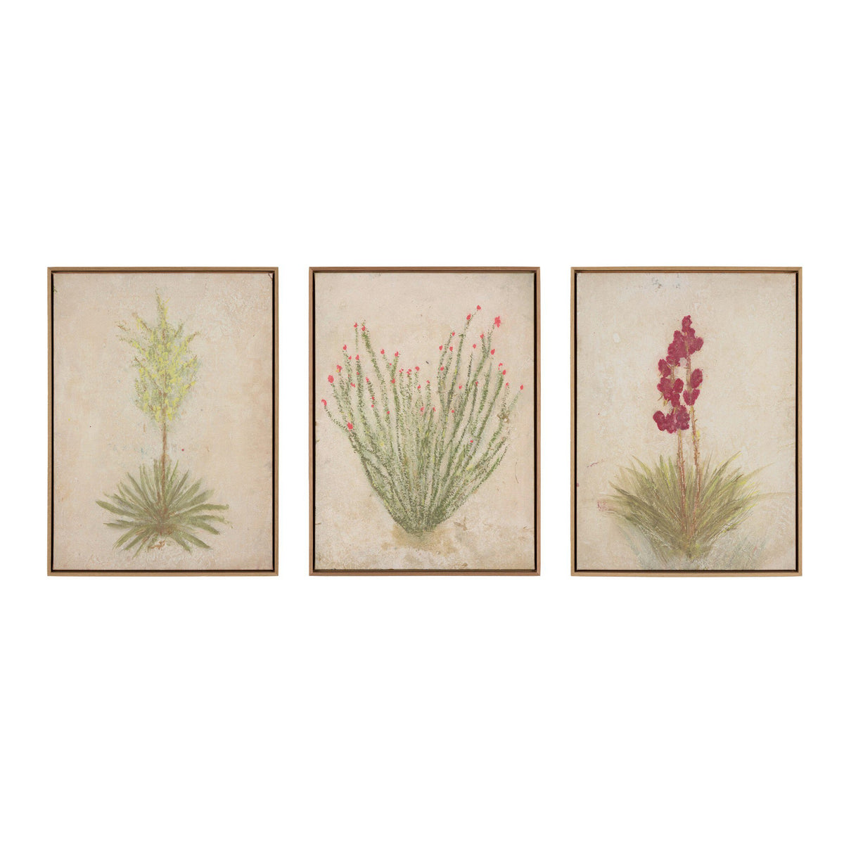 a group of framed pictures of flowers