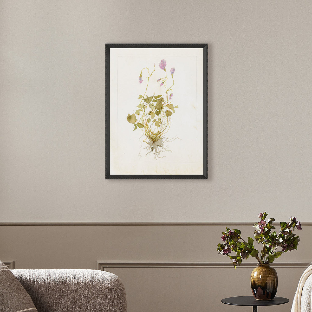 Oxalis Debilis No. 1 By Laurel-Dawn Latshaw