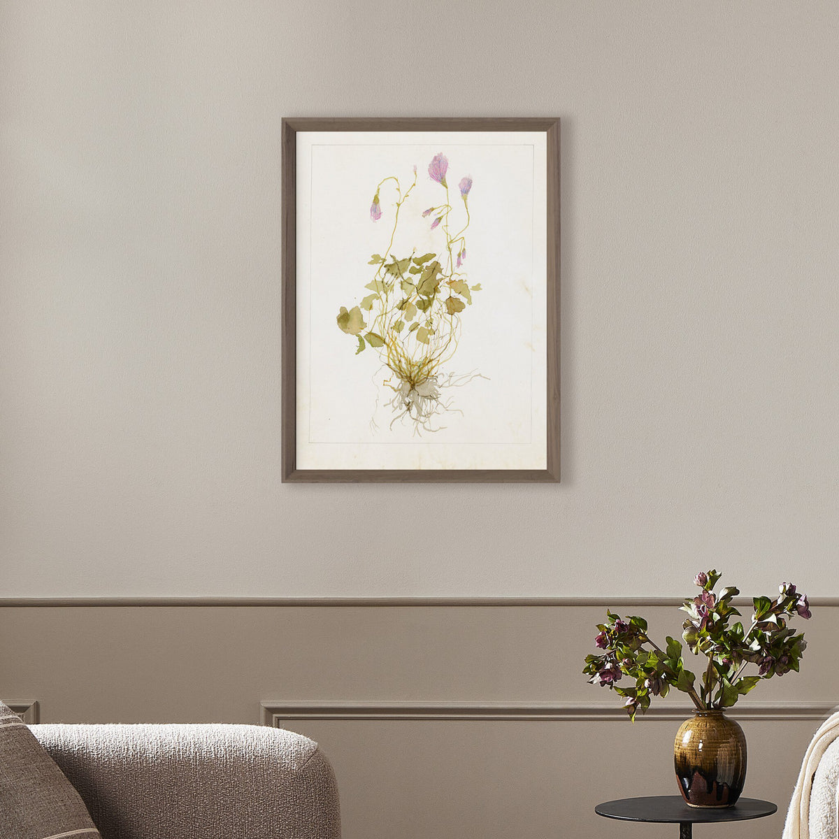 Oxalis Debilis No. 1 By Laurel-Dawn Latshaw