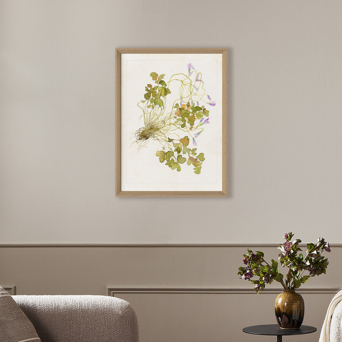 Oxalis Debilis No. 2 By Laurel-Dawn Latshaw
